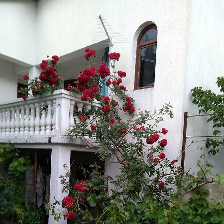 Apartman Sunce Raslina Zewnętrze zdjęcie