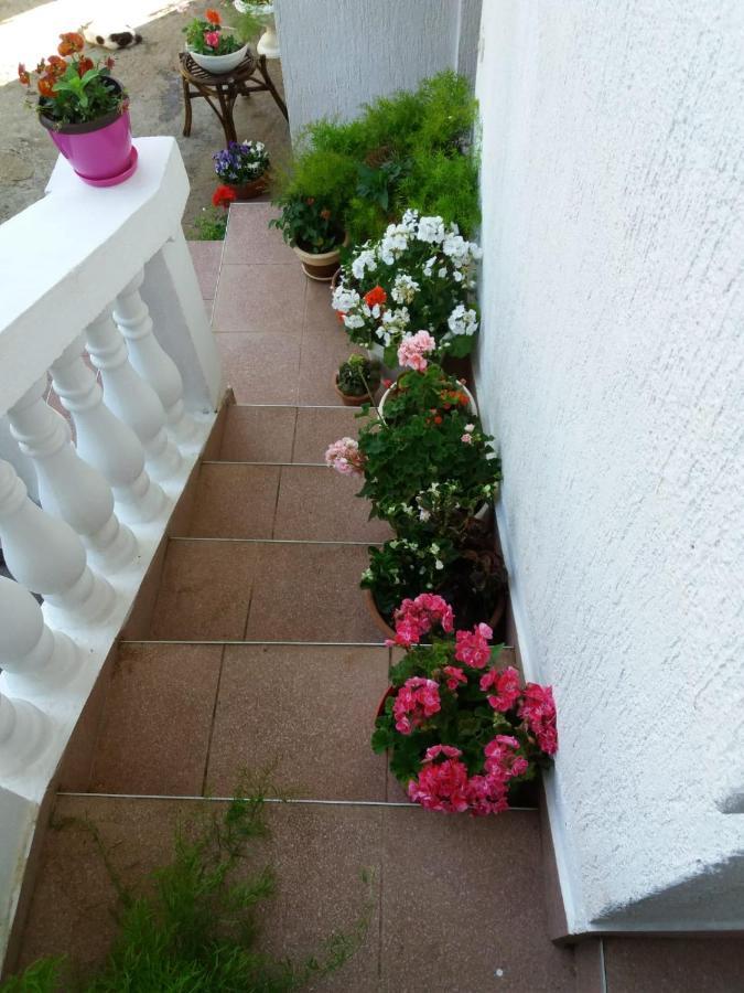 Apartman Sunce Raslina Zewnętrze zdjęcie