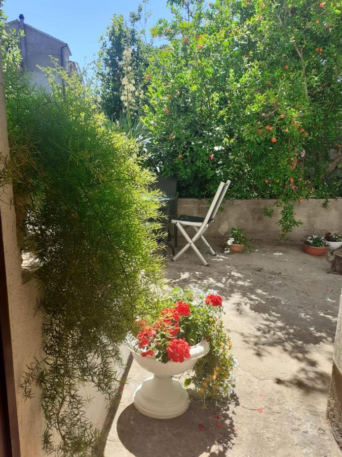 Apartman Sunce Raslina Zewnętrze zdjęcie