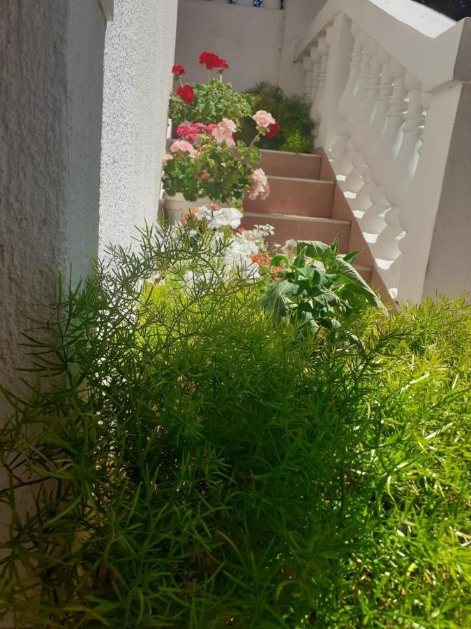 Apartman Sunce Raslina Zewnętrze zdjęcie