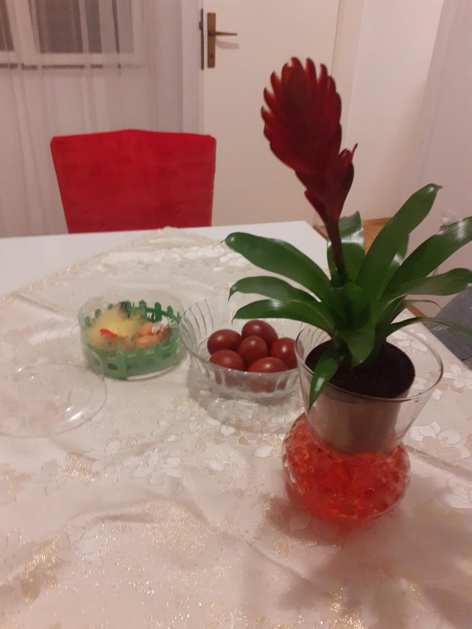 Apartman Sunce Raslina Zewnętrze zdjęcie