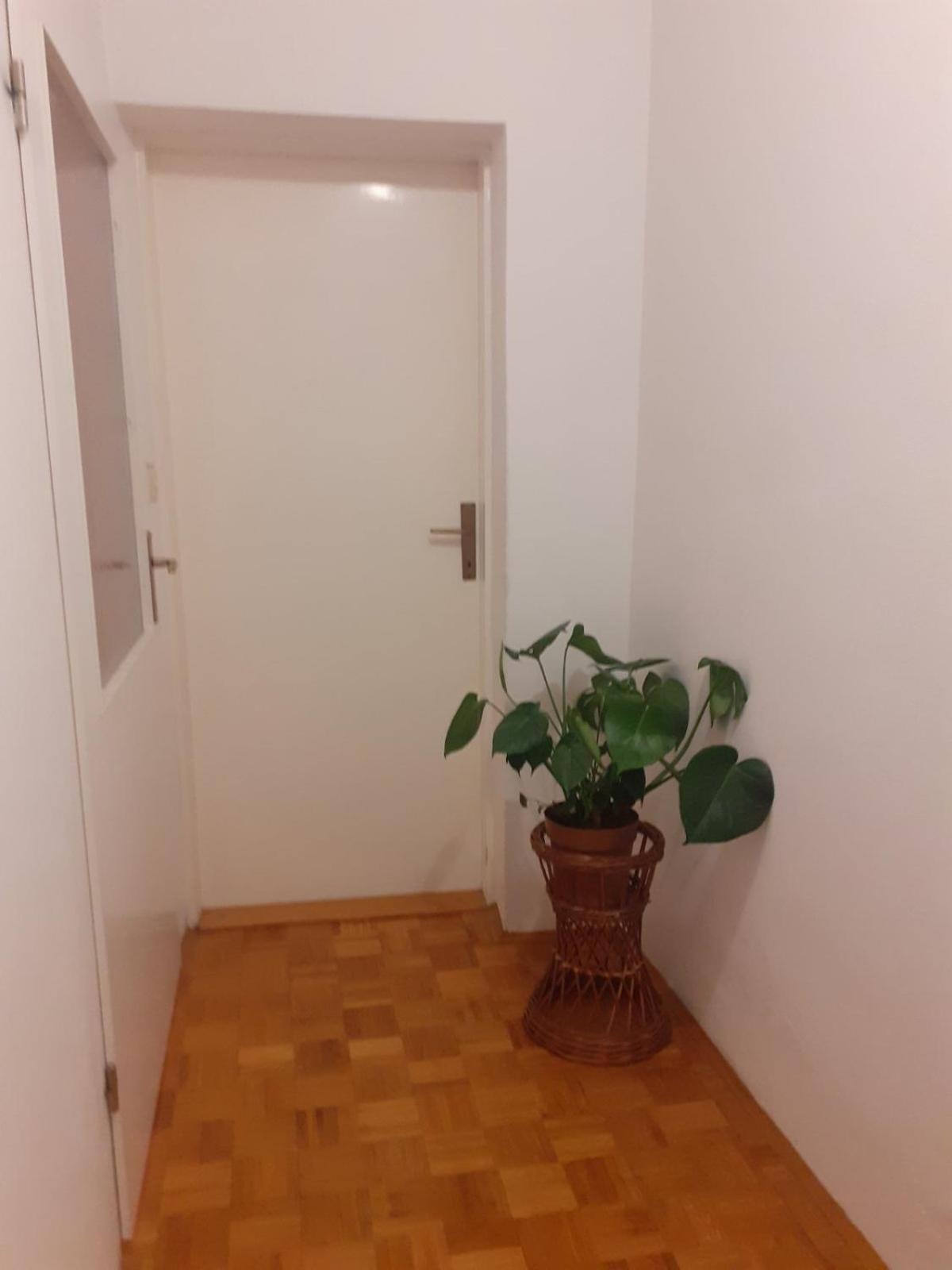 Apartman Sunce Raslina Zewnętrze zdjęcie