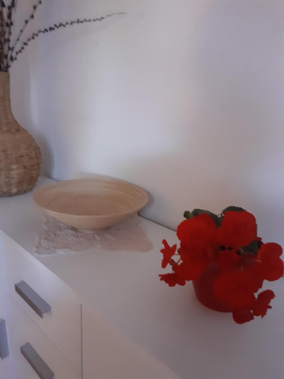 Apartman Sunce Raslina Zewnętrze zdjęcie