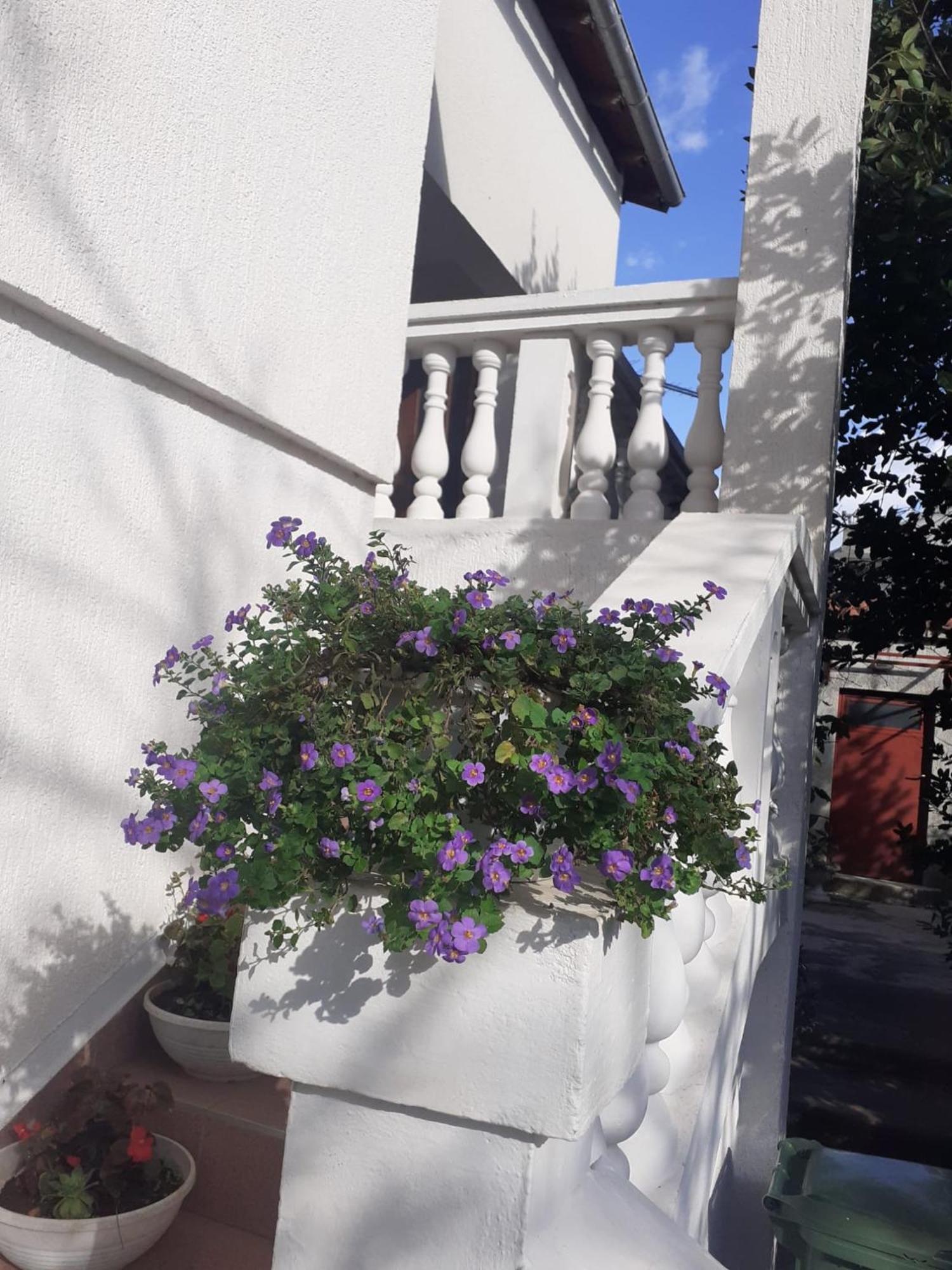 Apartman Sunce Raslina Zewnętrze zdjęcie