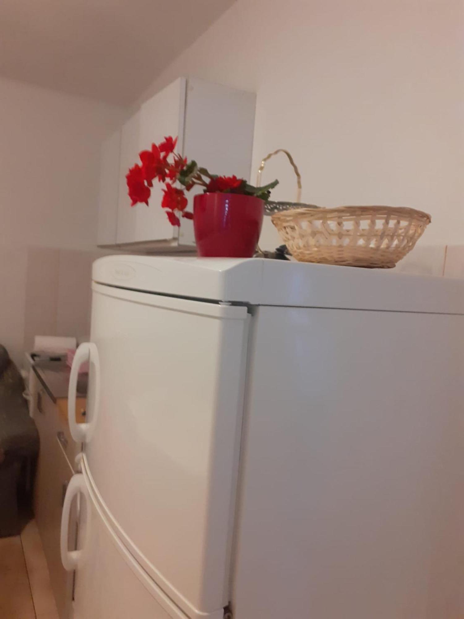 Apartman Sunce Raslina Zewnętrze zdjęcie